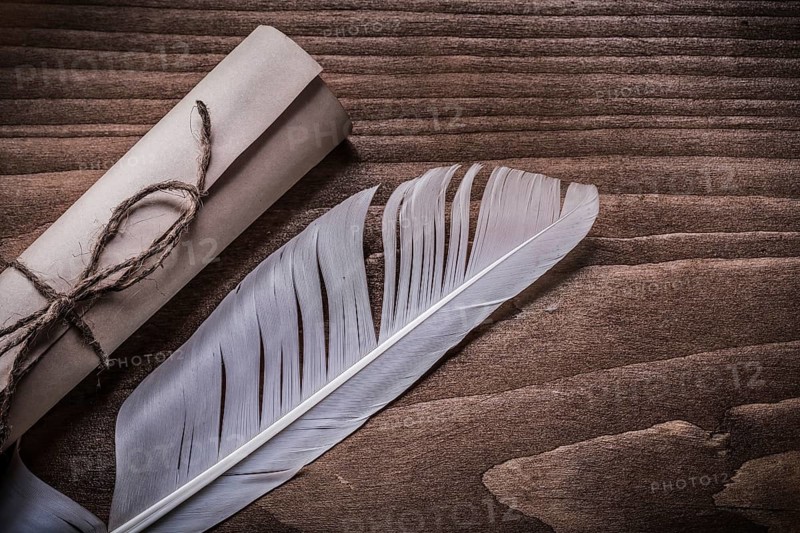 Rolled up vintage paper plume on wooden board horizontal view
