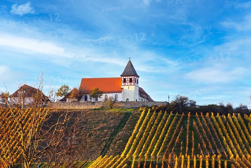 The Michaelsberg in Cleebronn, Zabergäu, Baden-Württemberg, Germany, Europe