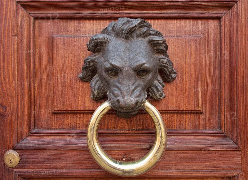Antique door knocker in the form of a lion's head on old wooden door, Rome, Italy, Europe