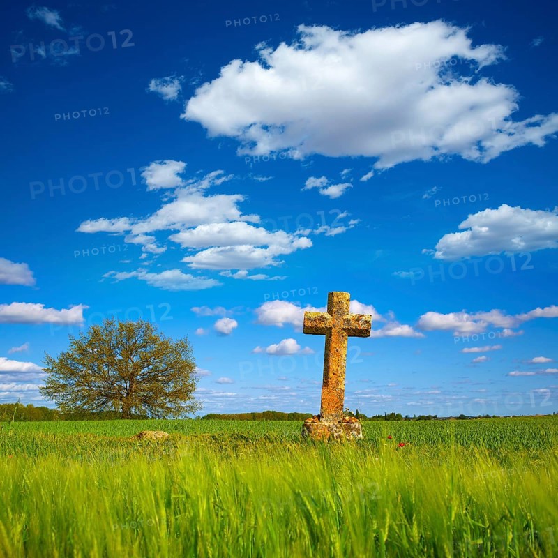 The Way of Saint James cross in Palencia cereal fields of Spain