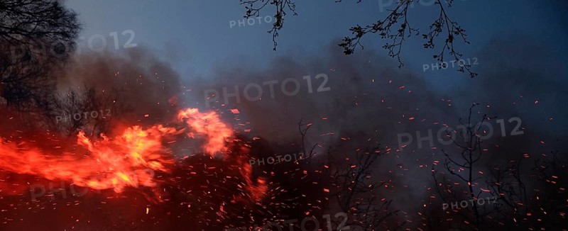 Fire with flying sparks, smoke and blazing flames at dusk. Landscape format. Forest fire with flying sparks, smoke development and blazing flames at dusk. Horizontal format