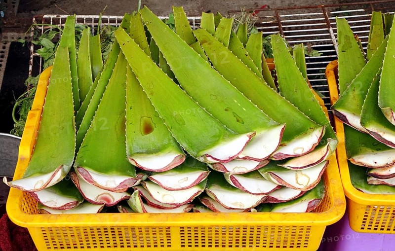 A herbal store sells Aloe Vera leaves for medicinal purposes