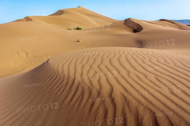 Erg Chebbi, sand desert of Merzouga, southeast of Morocco. Popular destination for travellers. Morocco