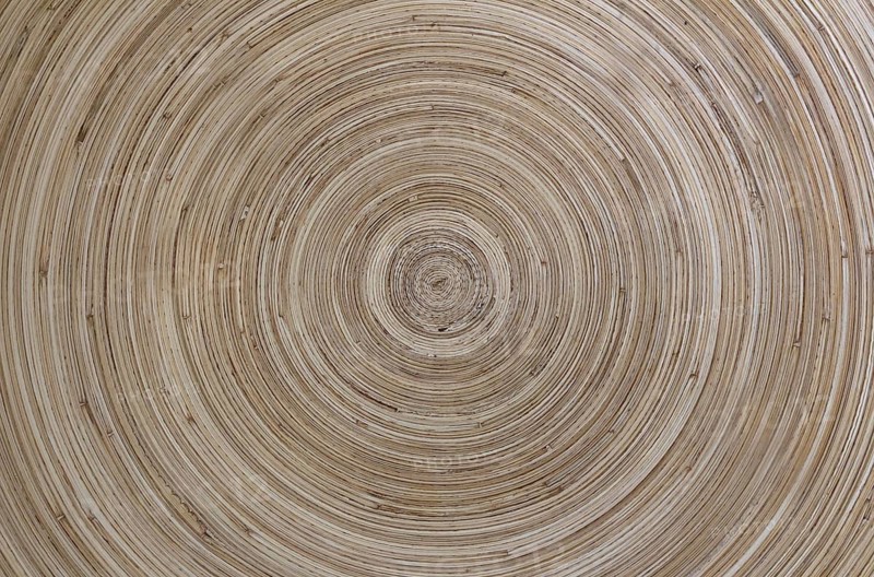 Concentric pattern of wood, with warm tones and clear