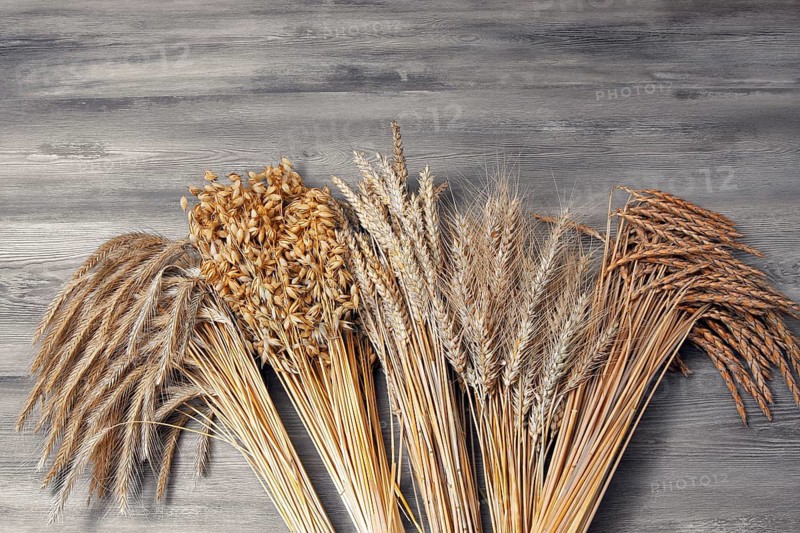 Grain sheaves