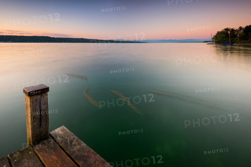 Wooden footbridge at Lake Starnberg near Bernried in Upper Bavaria in summer at sunrise