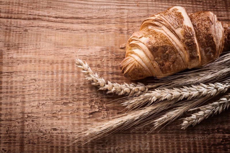 Yummy croissant bundle of wheat ears on oak wooden board food and drink concept