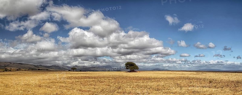 Landscape in the semi-desert Karoo in South Africa