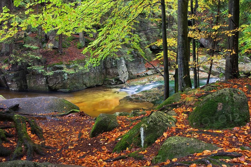 Szklarka stream in autumn forest of Karkonoski National Park, Karkonosze Mountains, Lower Silesia, Poland, Europe
