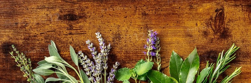 Aromatic herbs panoramic banner with copy space, shot from the top on a rustic wooden background. Bunches of rosemary, thyme, lavender, and various other culinary plants