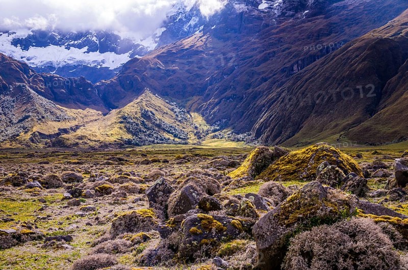 Mossy volcanic Andean landscape in afternoon light near El Altar volcano in Riobamba region, Ecuador, South America