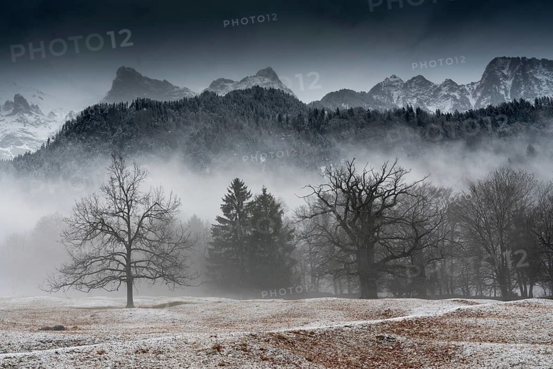 winter forest and mountain landscape in bad weather with fog and rime on the ground in the Maienfeld region of Switzerland