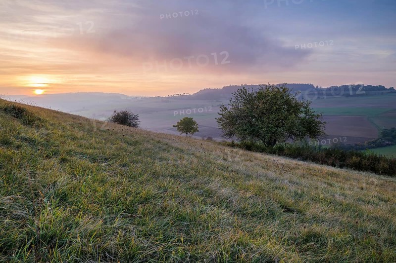 A hilly landscape with grass and trees at sunset, depicting a peaceful and vast nature, Bisberg, Watterdingen, Hegau, Lake Constance region, Baden-Württemberg, Germany, Europe