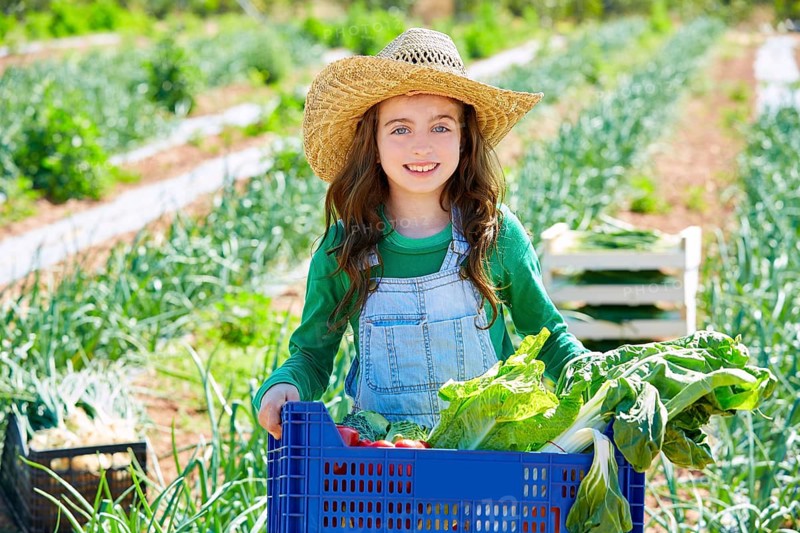 Litte kid farmer girl in vegetables harvest at orchard