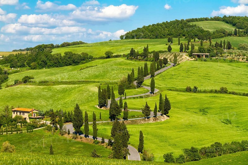 Tuscany road with cypress trees, Val d'Orcia, Italy, Europe