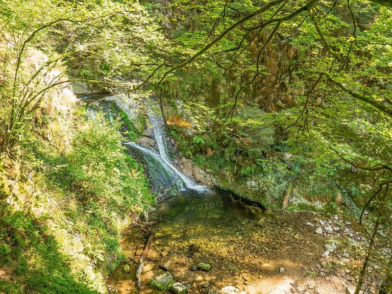 A waterfall flowing into a small river in the middle of a forest, surrounded by green foliage, Black Forest, Bade-Würtemberg, Germany, Europe