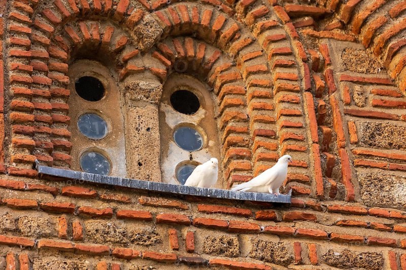 Two white doves, pigeons bird near window, Church Saint John Kaneo, Ohrid, North Macedonia