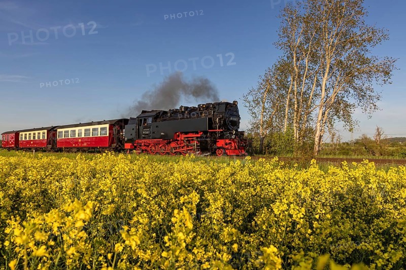 Selketal railway between Quedlinburg and Gernrode