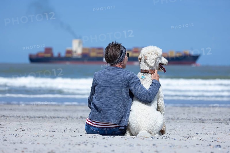 Woman sits together with her dog, a white poodle, amicably familiar on the beach in the sunshine, hugs him and looks at the sea, a ship passes by, Groede, Zeeland, Netherlands