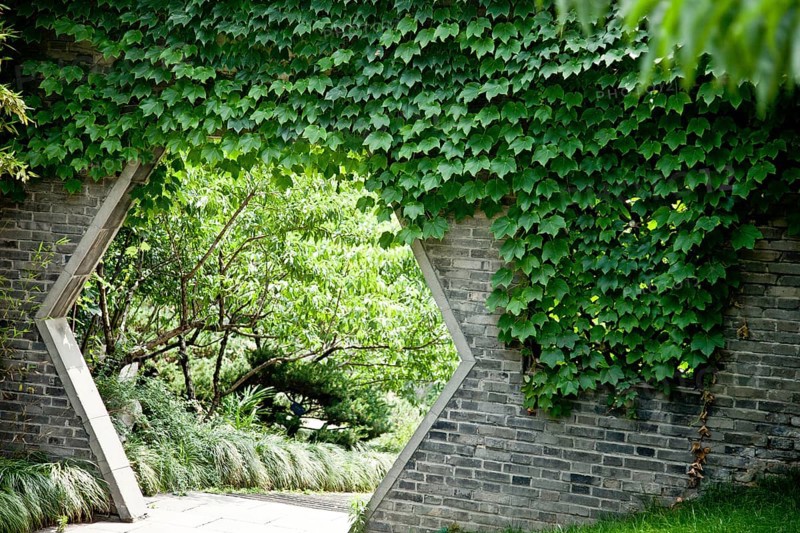 To the secret garden