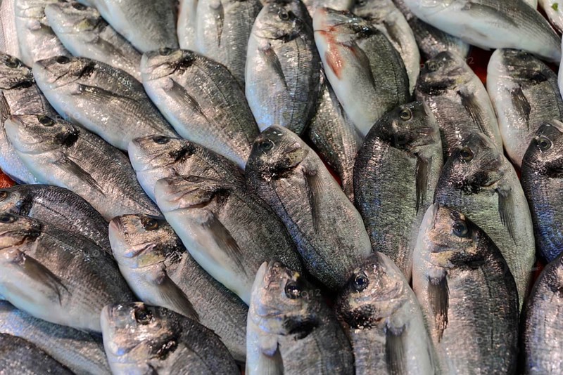 An arrangement of fresh silver fish lying close together, Istanbul, Istanbul Province, Turkey, Asia