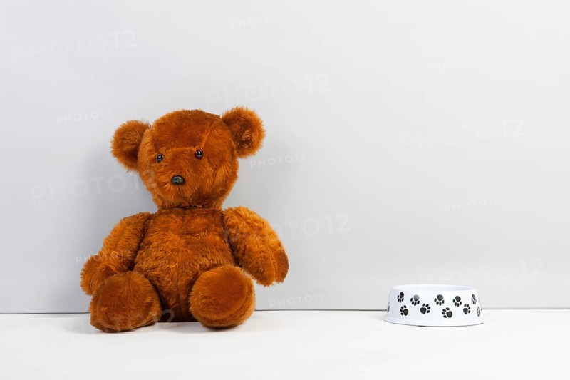Brown teddy bear sitting at the floor
