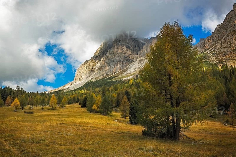 Landscape in autumn at Passo Falzarego, Dolomites, Italian Alps