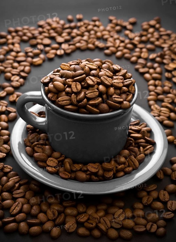 Coffee composition of coffe grain and gray cup with grain