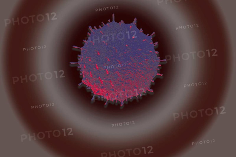 Covid-19 Novel Coronavirus Bacteria. No Infection and Stop Coronavirus Concepts