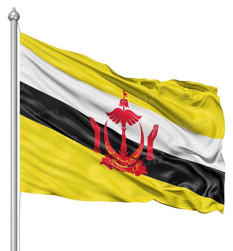 Flag of Brunei with flagpole waving in the wind against white background
