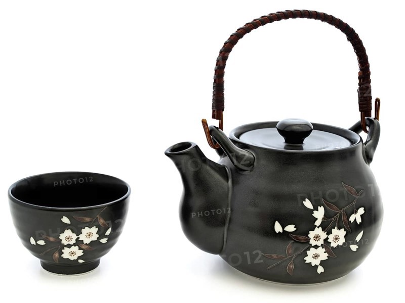 China tableware for chinese tea ceremony: teapot and bowl over white background