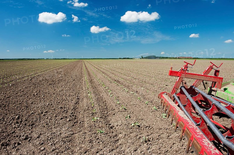 Fields with young vegetable fields and detail of planting machine