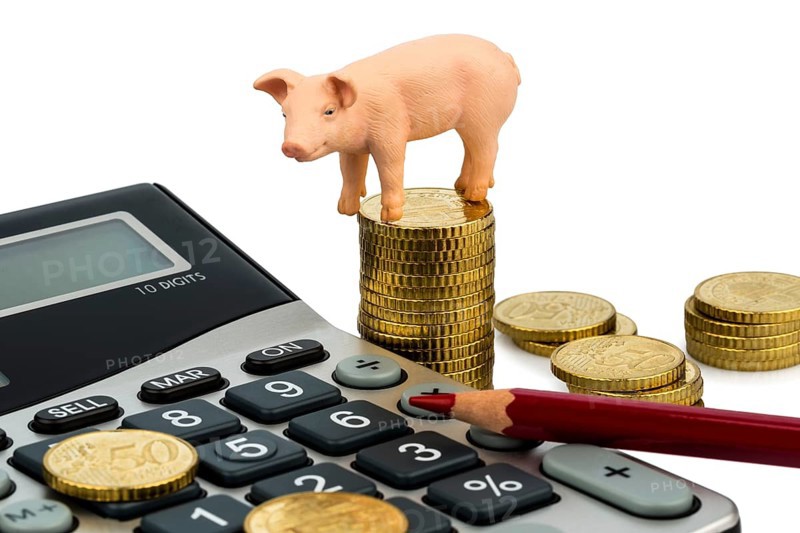 A pig and a calculator as a symbol for costs and income for a farmer in agriculture, expenses, income and bookkeeping