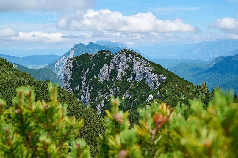 Mountain landscape with Hörndlwand, Ruhpolding, Chiemgau, Chiemgau Alps, Upper Bavaria, Bavaria, Germany, Europe