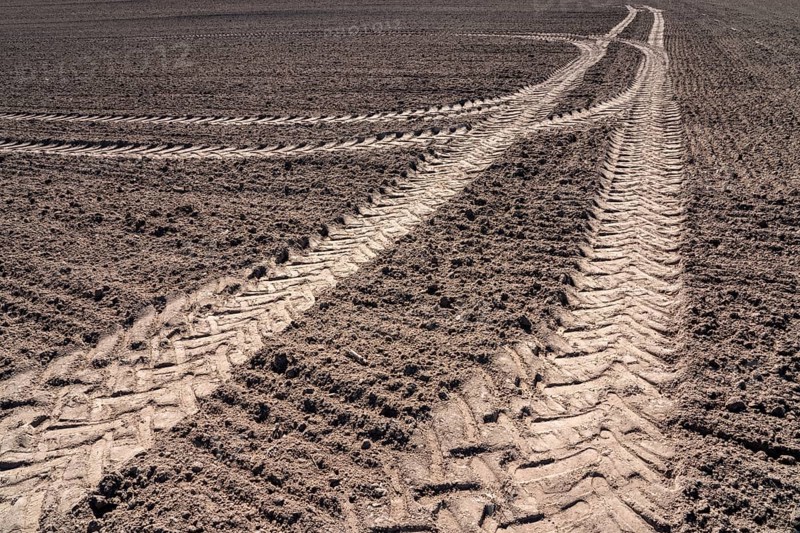 Tractor tracks, agricultural trails at a cultivated field in springtime, farmland near Wesertal, Weser Uplands, Weserbergland, Hesse, Germany, Europe