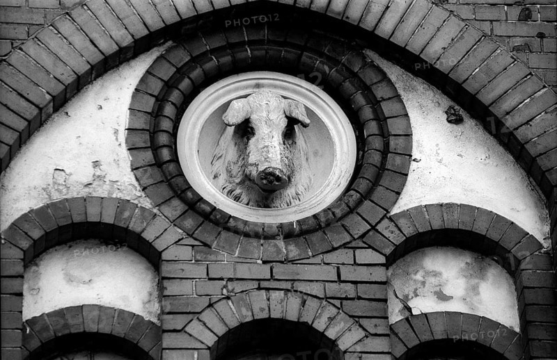 Germany, Berlin, 03.04.1992, Logo, pig's head, former slaughterhouse on Landsberger Allee (formerly Leninallee), Europe