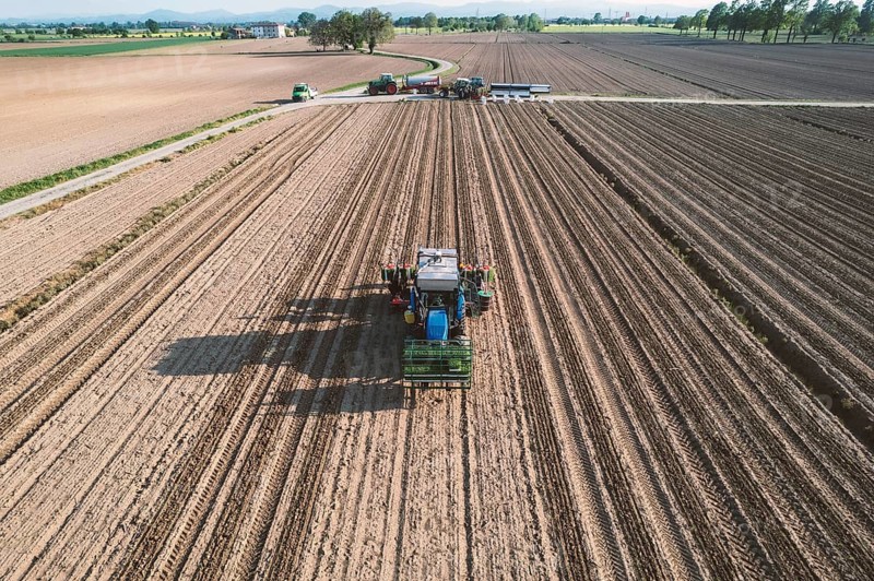 Blue tractor is planting tomatoes in a field, leaving a trail of freshly turned soil behind it as it moves through the rows
