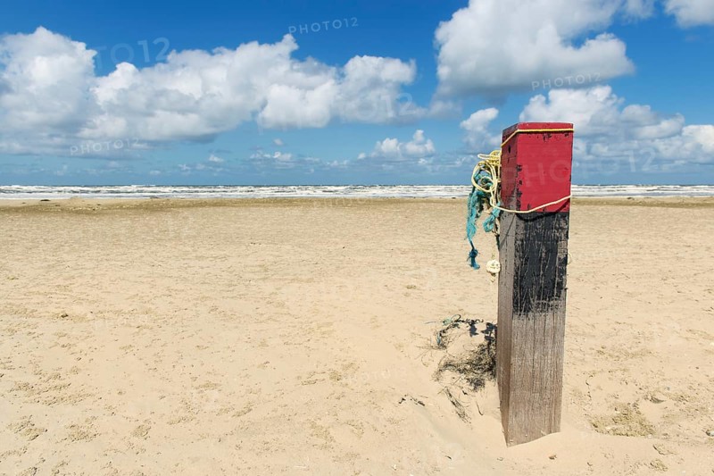 Wooden pole at the beach of Dutch wadden island Terschelling