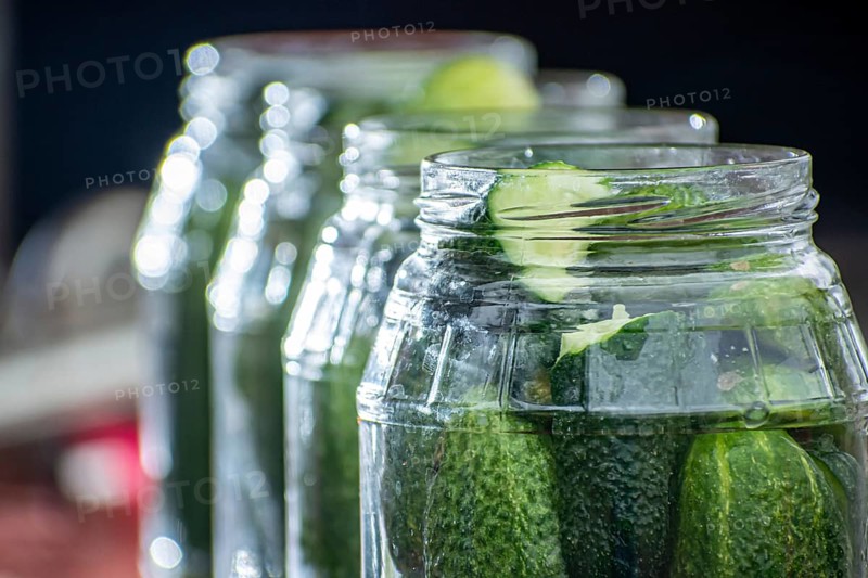 Pickled cucumbers with mustard in a jar. Appetizer for gourmets
