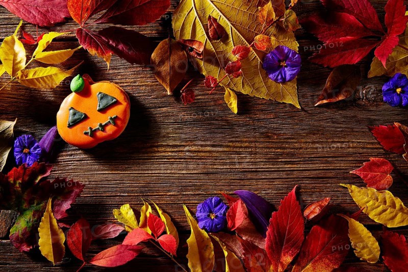 Halloween pumpkin copy space on wooden background backdrop