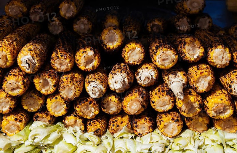 Roasted sweet corns on the grilled on barbecue grill