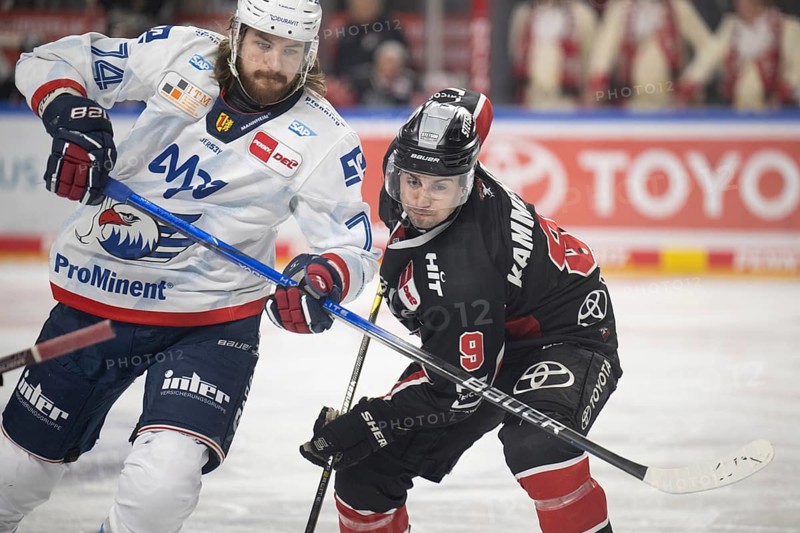 LanxessArena, Cologne, North Rhine-Westphalia, Maximilian Kammerer (Cologne Sharks, #9), Ryan Macinnis (Adler Mannheim, #74), PENNY DEL, Cologne Sharks-Adler Mannheim on 02/02/2025 at the LanxessArena in Cologne Germany