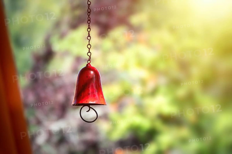 An image of a red color bell in the garden with bokeh background