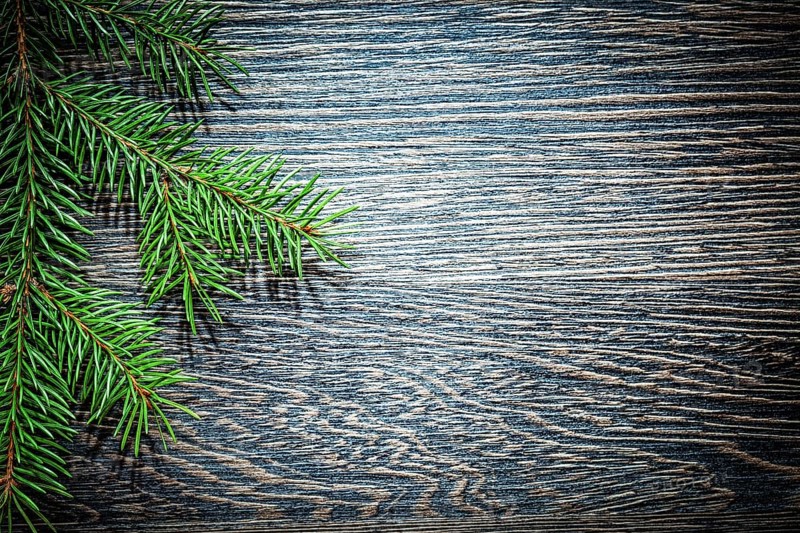 Pine tree branch on wooden board