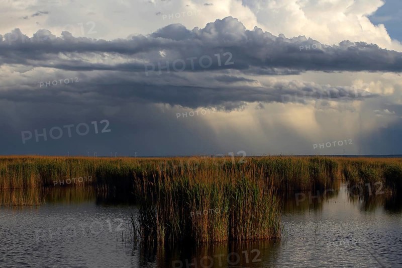 Lake Neusiedl National Park, rain front
