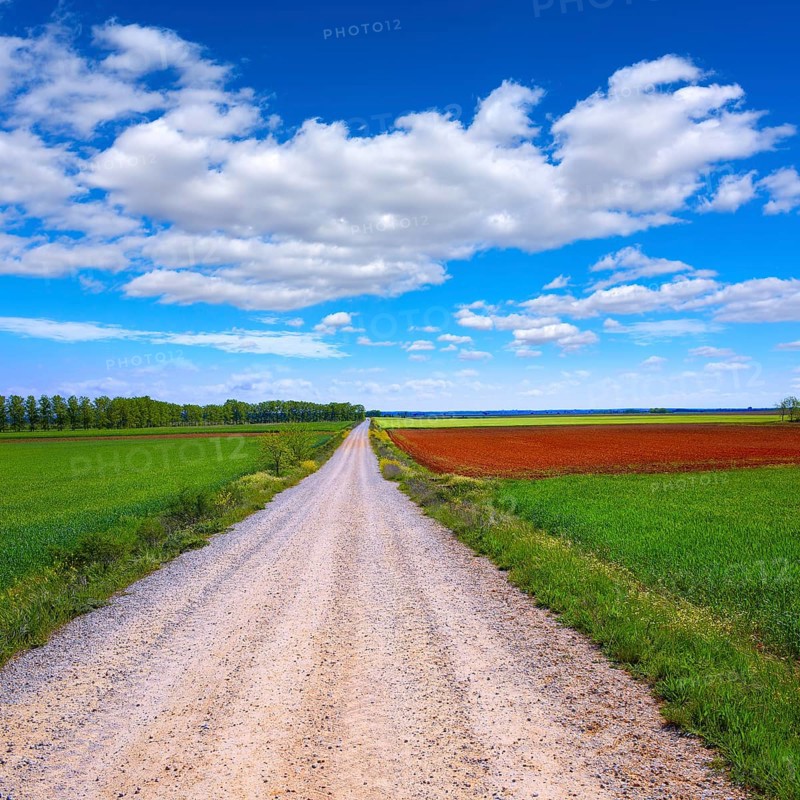 The way of saint James neverending cereal fields at Palencia Spain