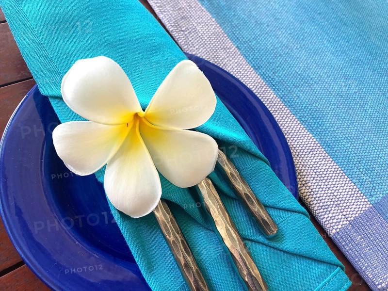 Food decoration with white plumeria rubra flower, Sri Lanka. Blue food decoration