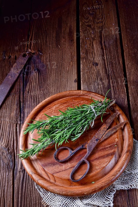Rosmarin (Rosmarinus officinalis)