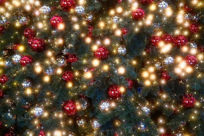 Illuminated Christmas tree, Christmas decoration, Roermond, Netherlands