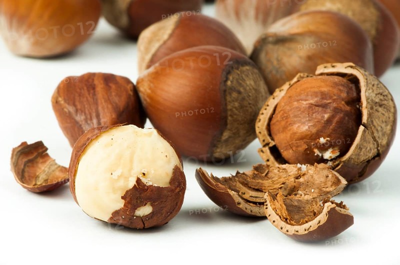 Closeup raw hazelnuts white isolated. One broken hazelnut and other purposes